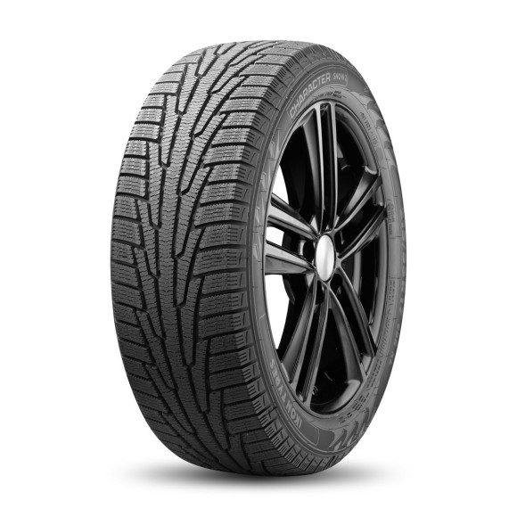 Шины Ikon 175/65R15 88R XL Character Snow 2 (Nordman RS2) TL
